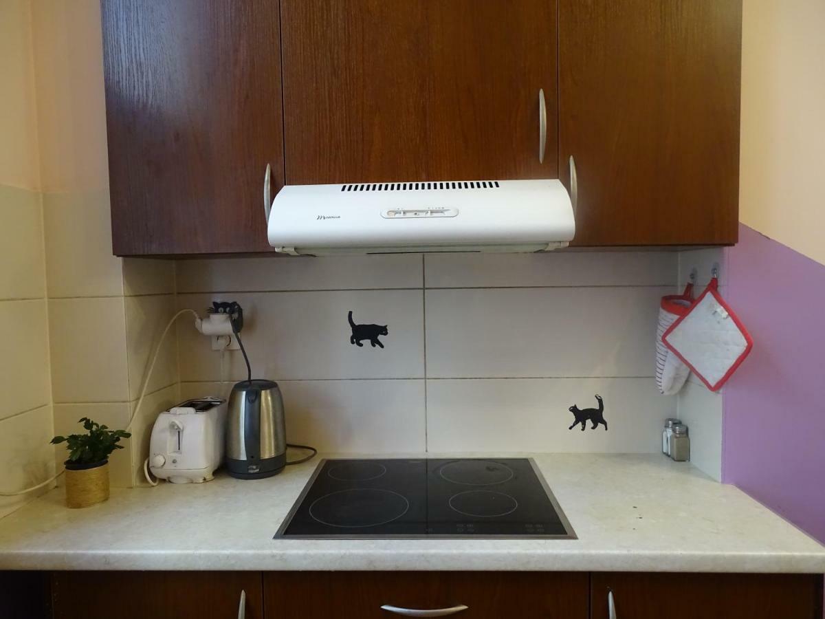Cat Hostel