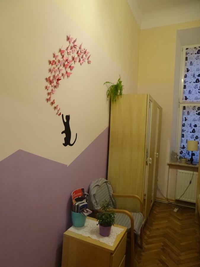 Cat * Krakau
