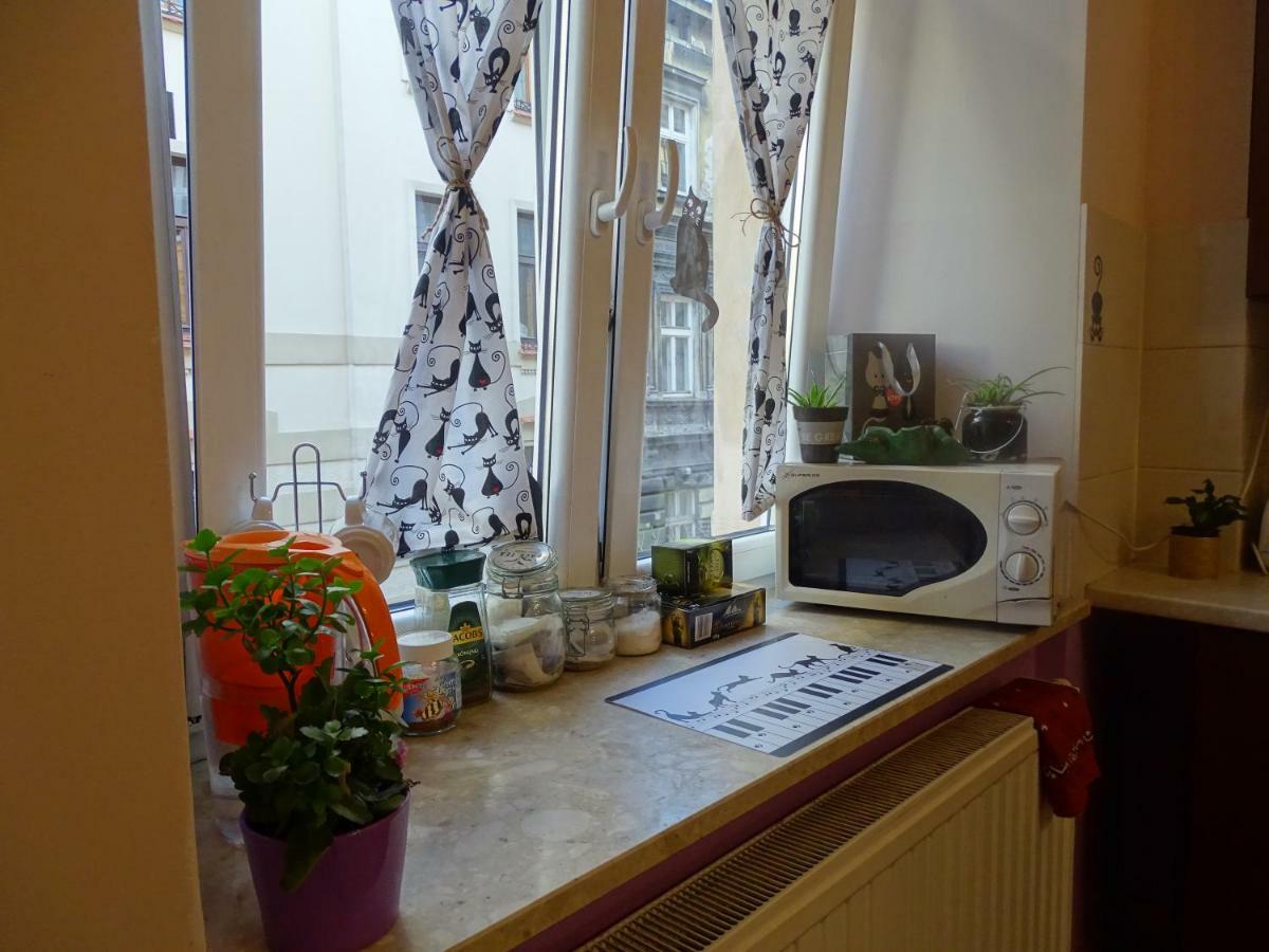 Cat Hostel Krakau